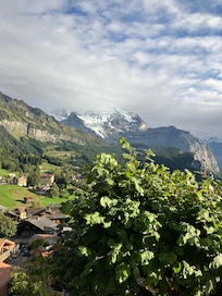 View from my deck