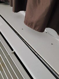 Bugs on a/c
