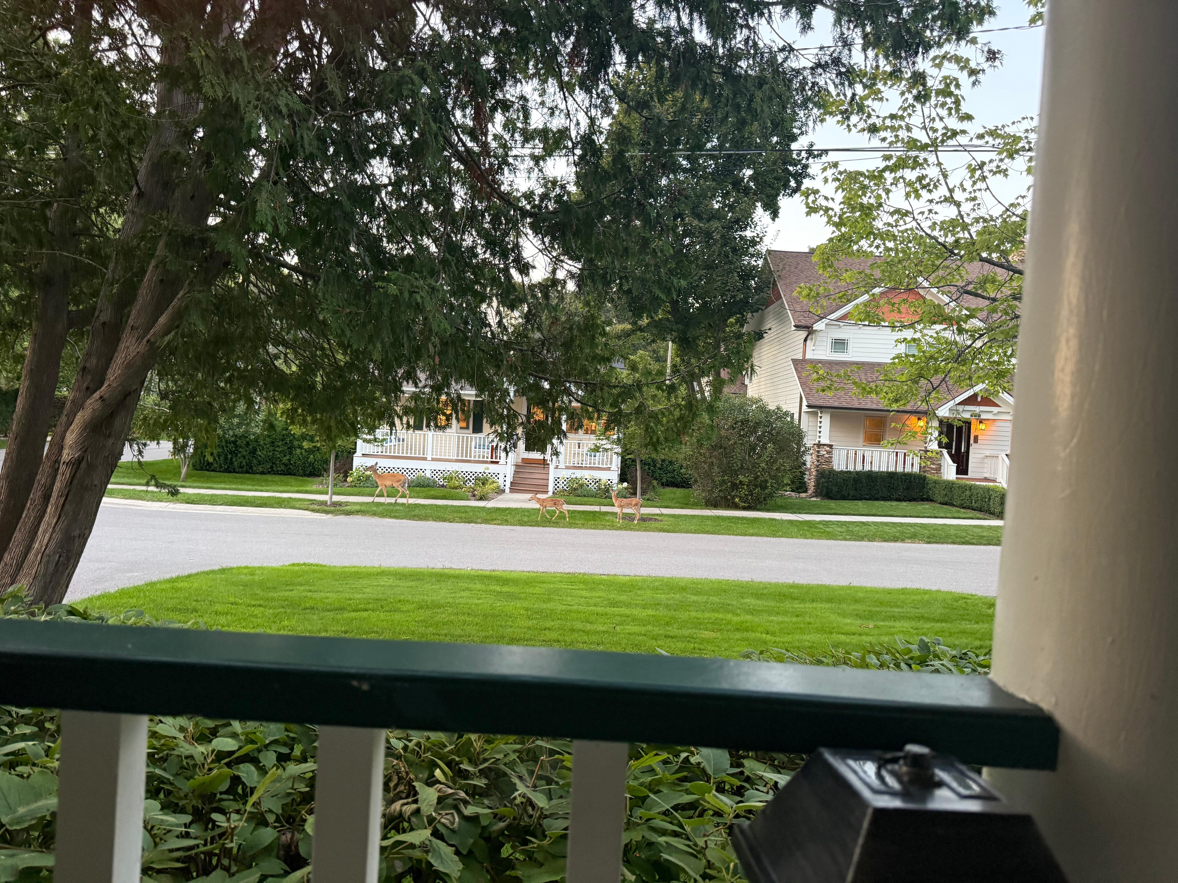 Loved sitting on the front porch