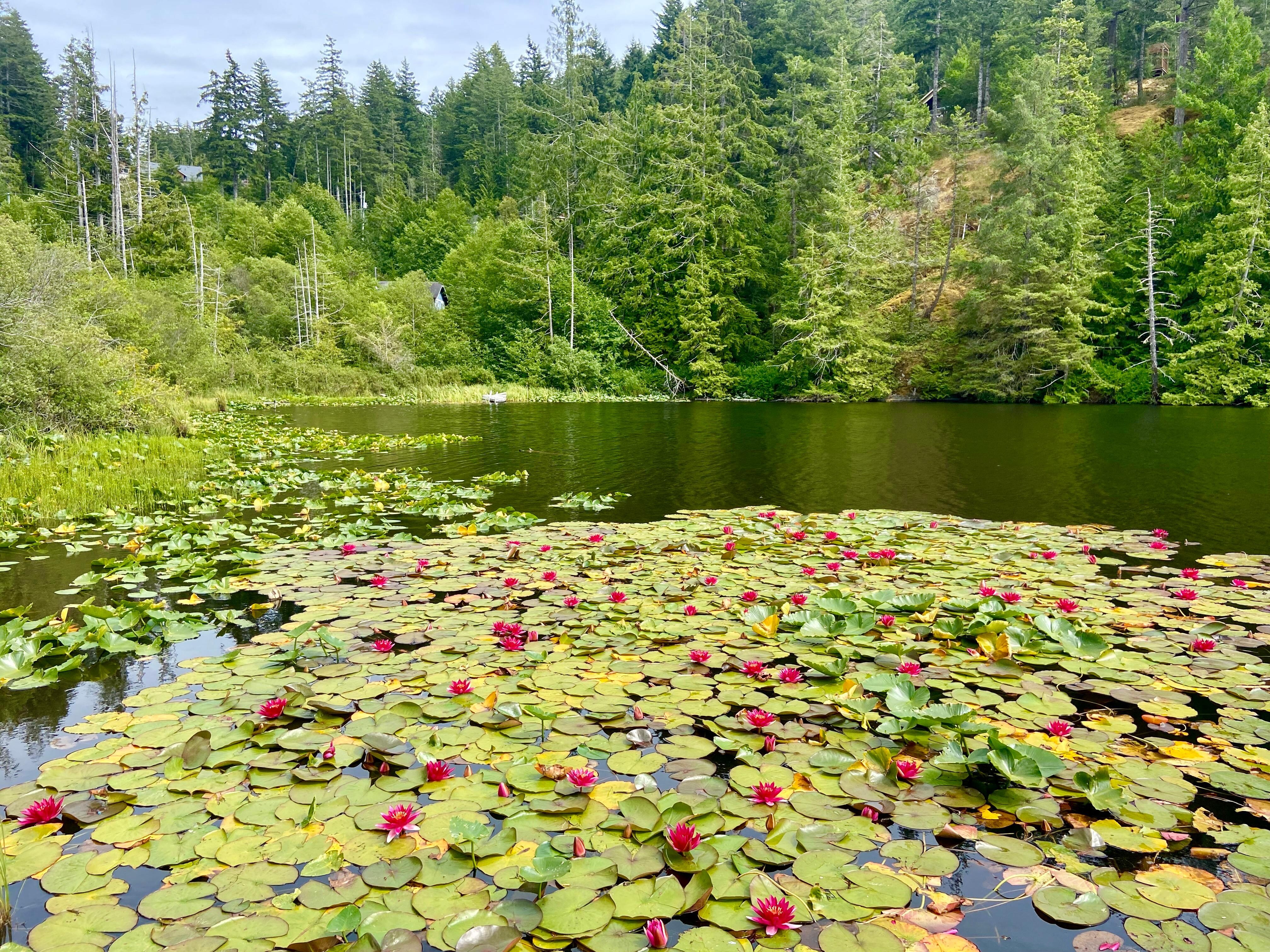Kemp Lake