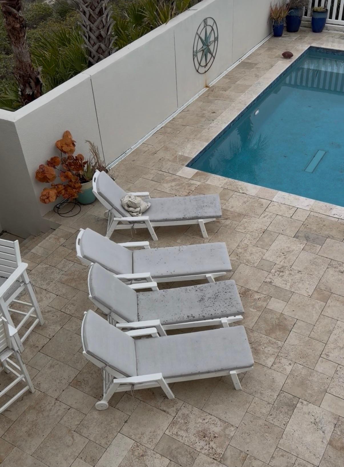 moldy furniture cushions