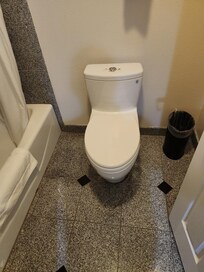 New eco double flush toilet