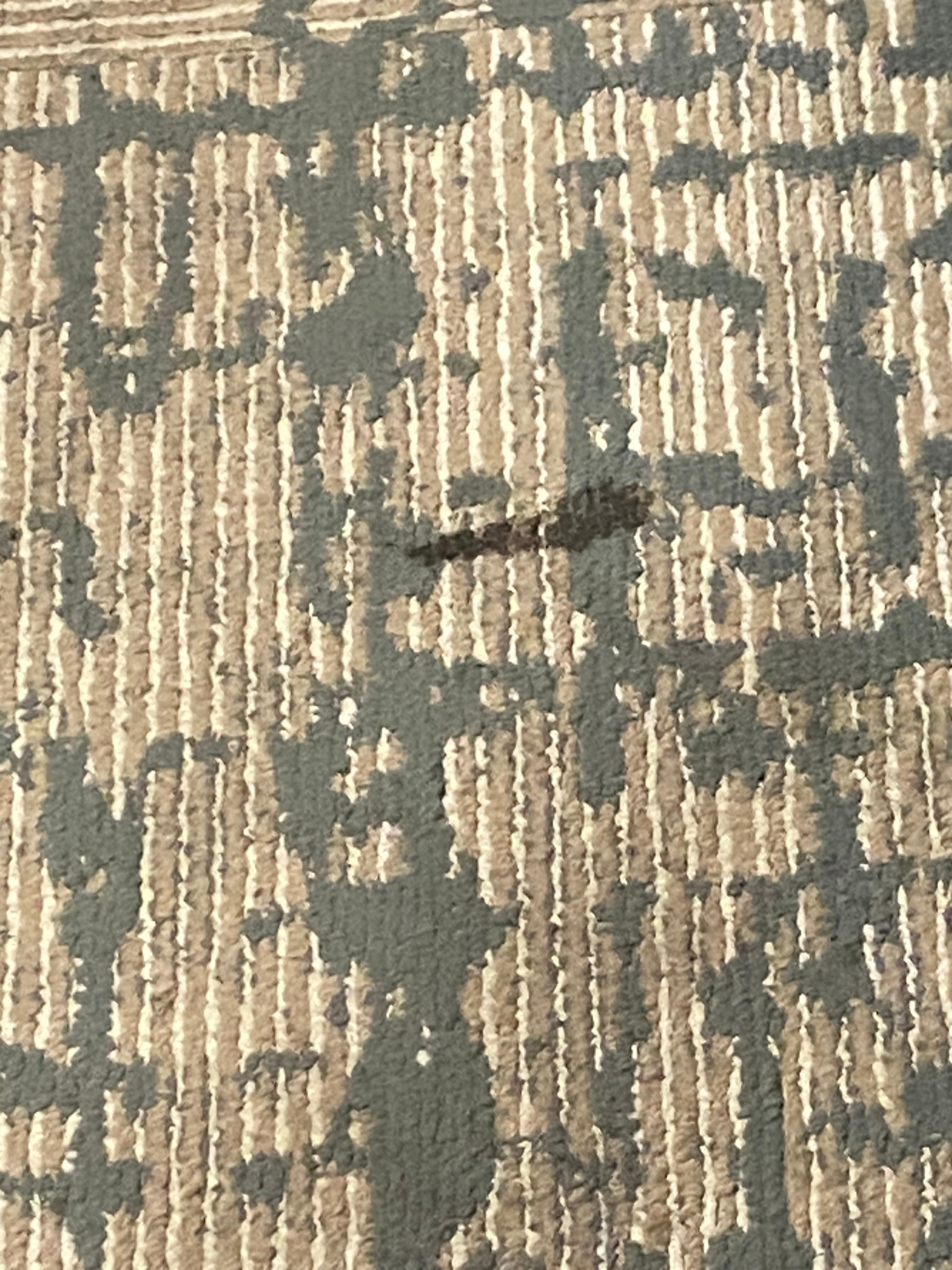 Stained carpet 1 in the hallway