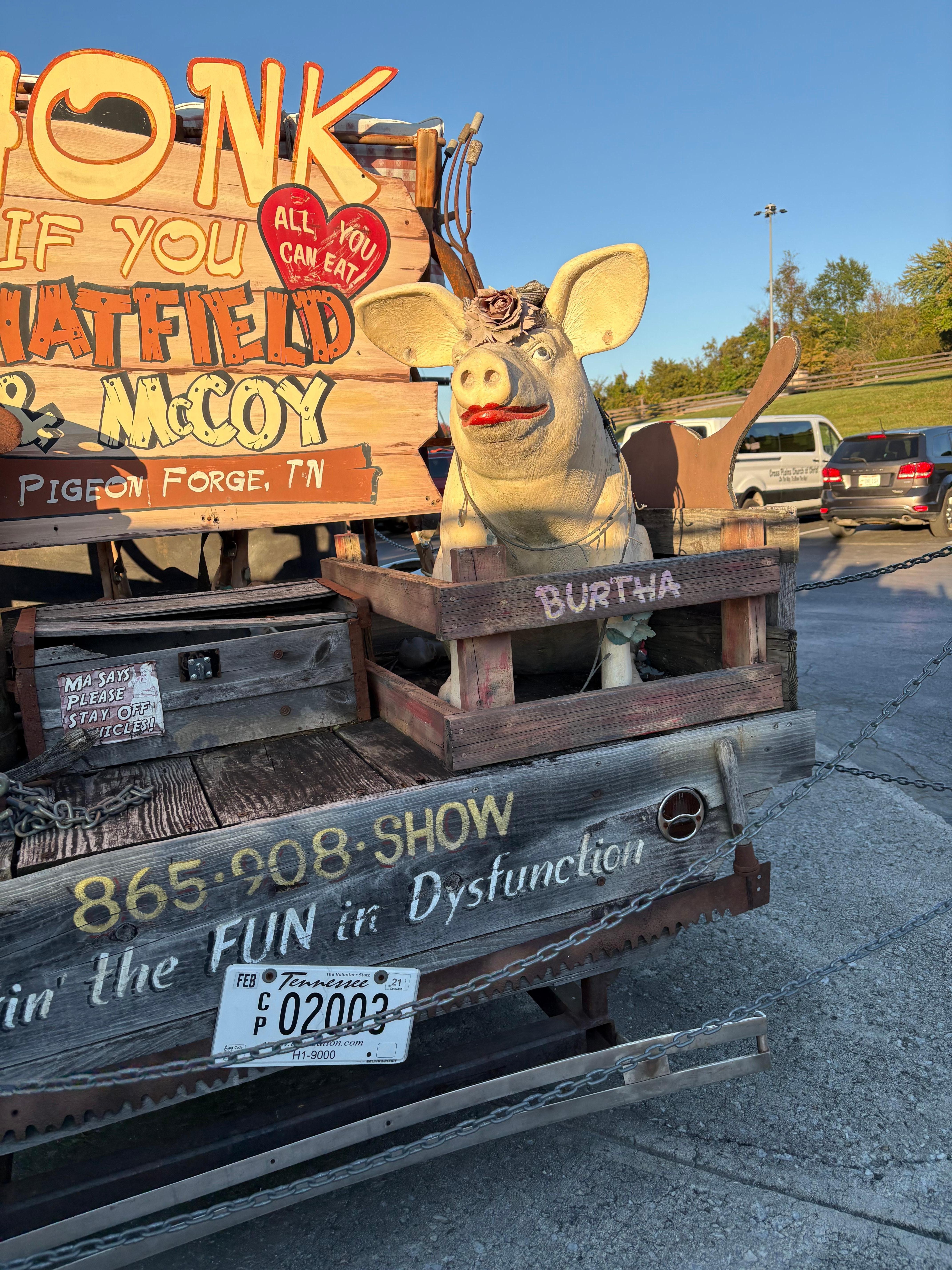 Hatfields and McCoy feud/show and dinner!