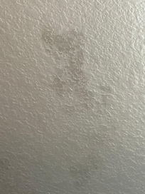 I don’t know what this was, but this was on the walls