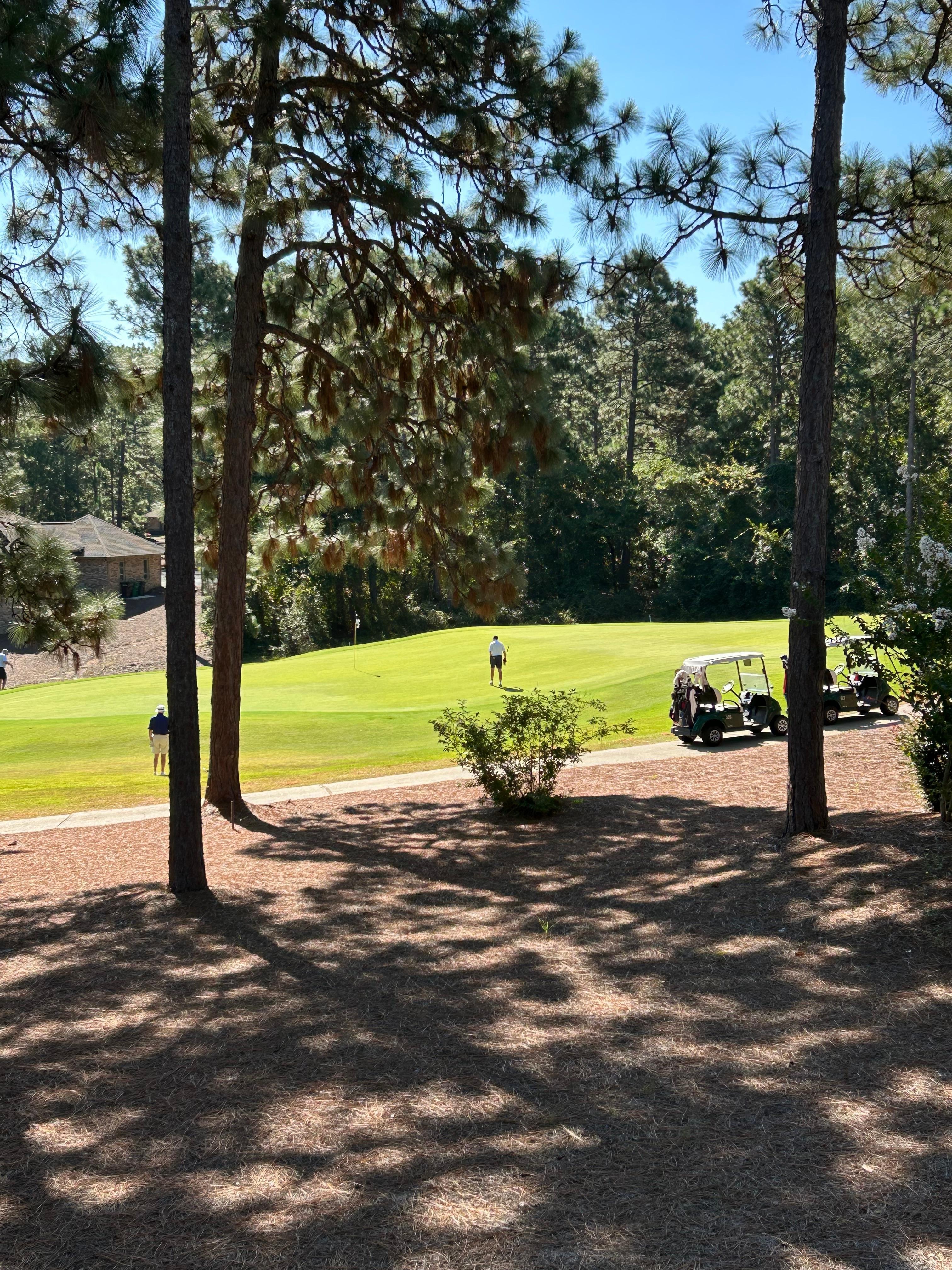 View of golf course 