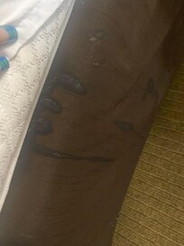 Disgusting filthy unwashed bed skirt