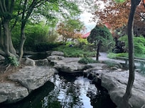 Chance Gardens