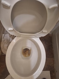 Time for toilet replacements.