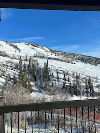 The Mountain View from the balcony
