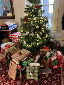 Hosts had a tree for our visit!