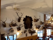 Soโฆ why is it called โAntlerโ?