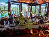 Daintree lounge bar