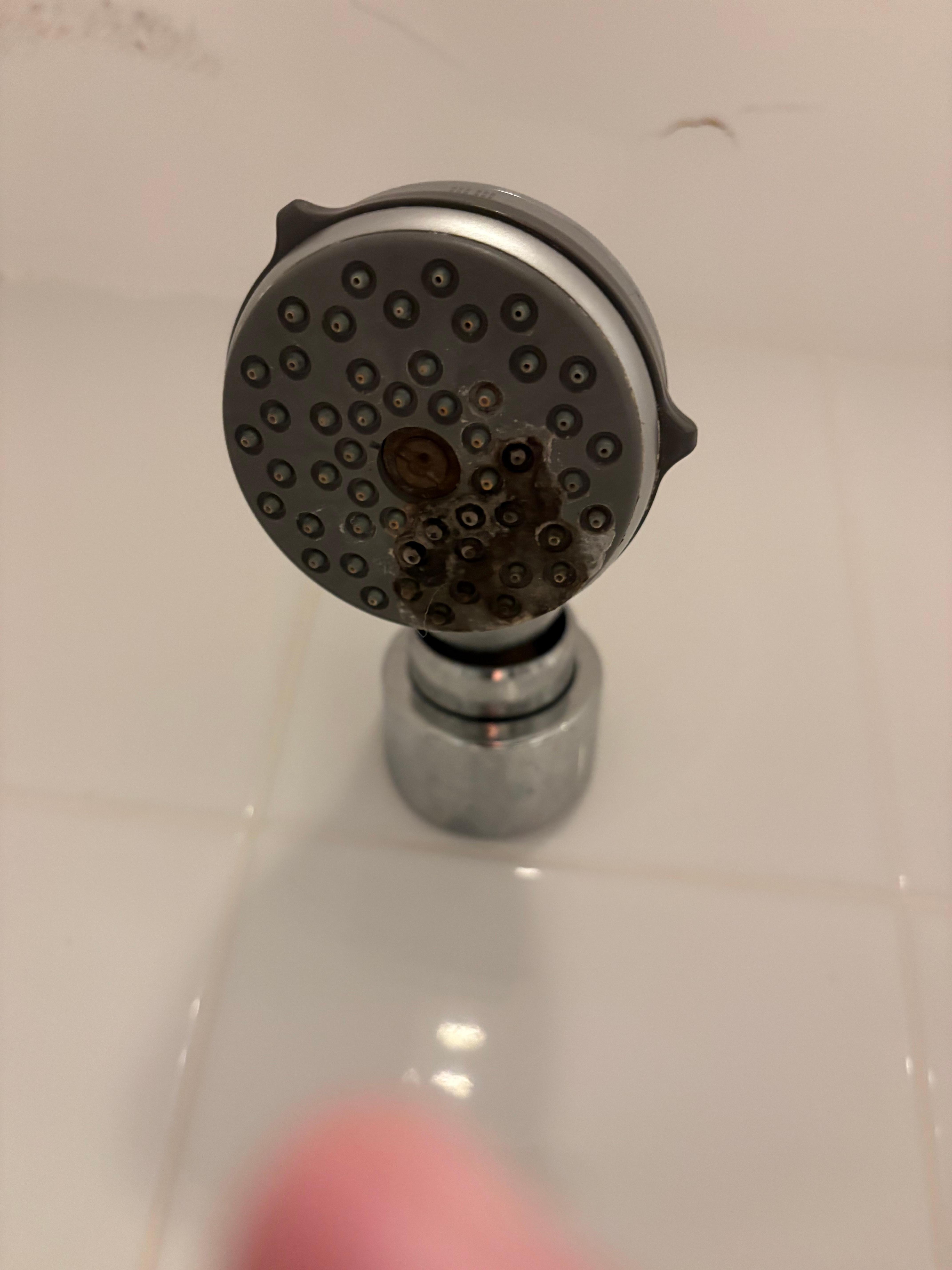 Black mould on the shower