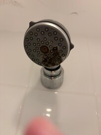 Black mould on the shower