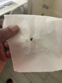 Had to kill a roach in the bathroom