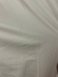 Pubic hair on linens