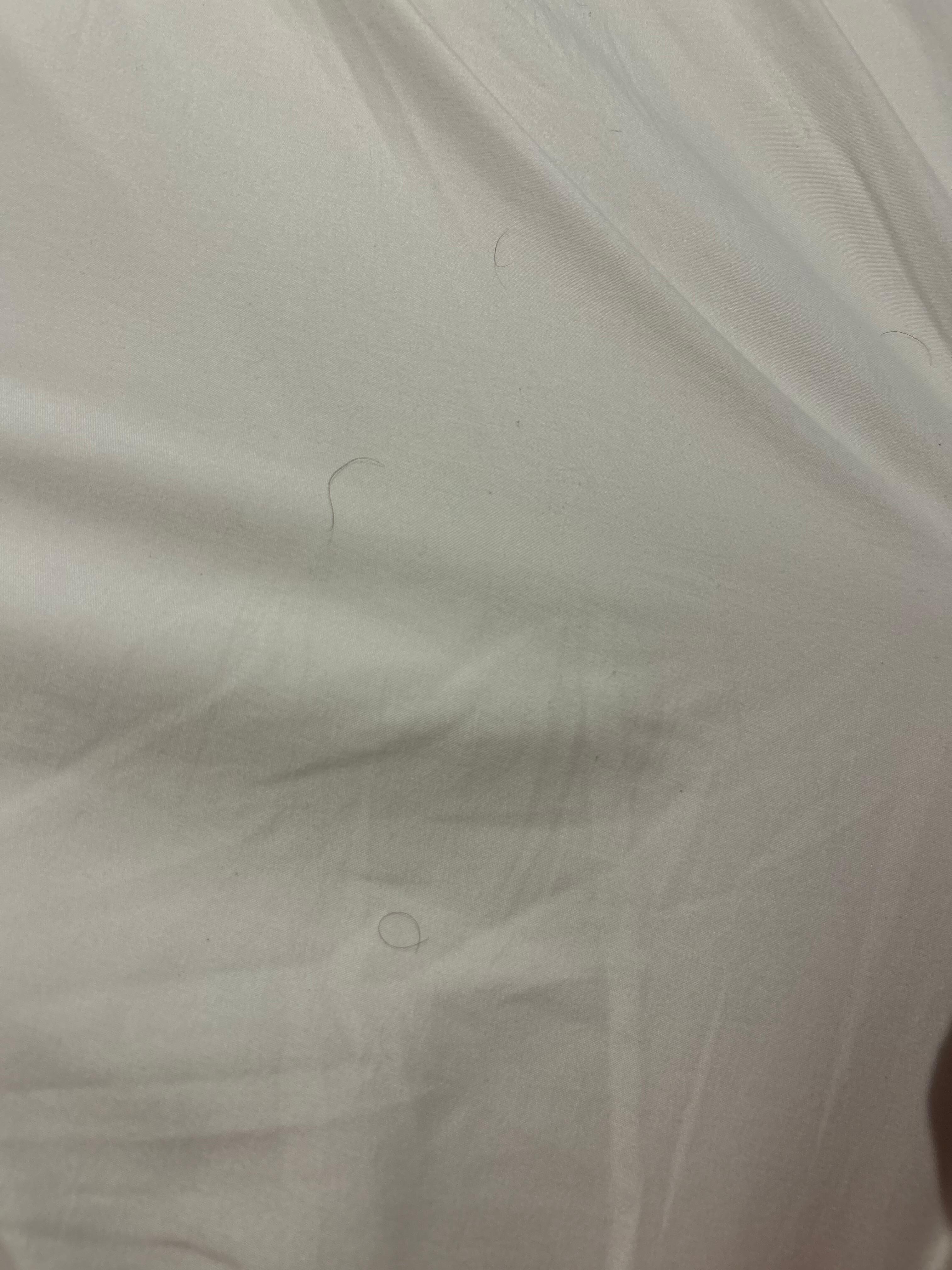 Pubic hair on linens