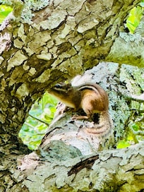 This guy let me get close for a pic