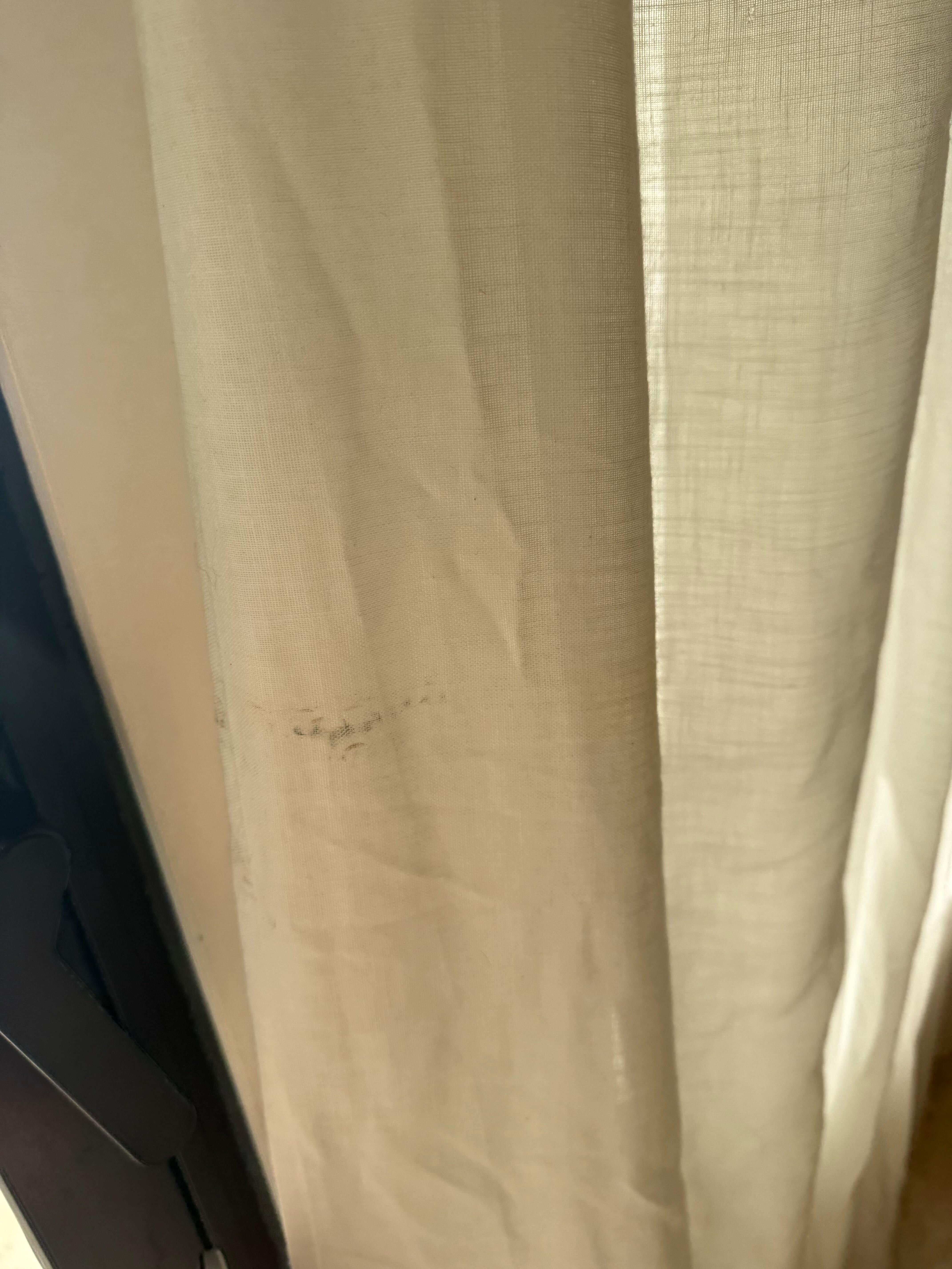 Mold on curtains