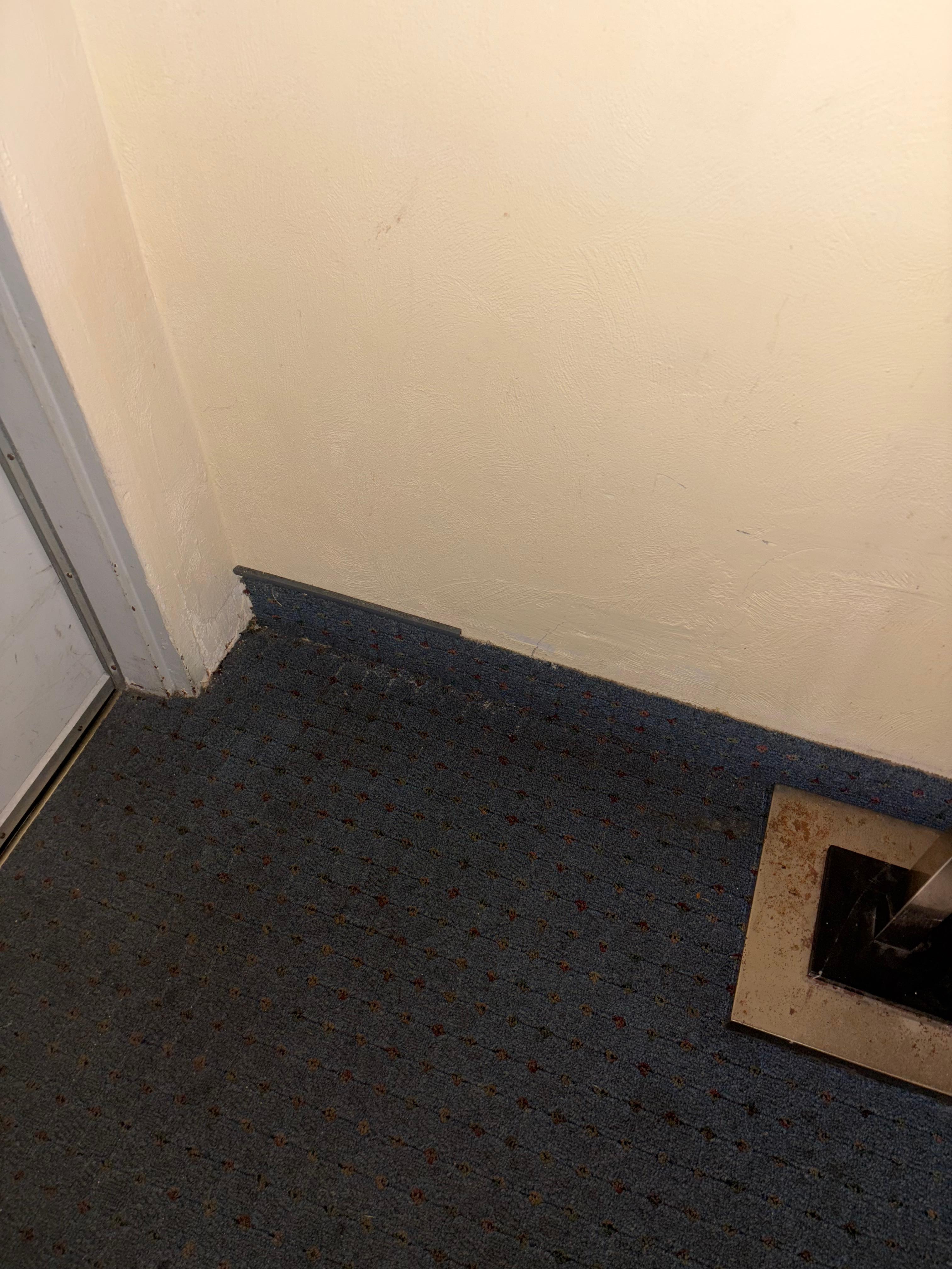 Dirty carpet