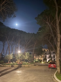 Hotel by Night