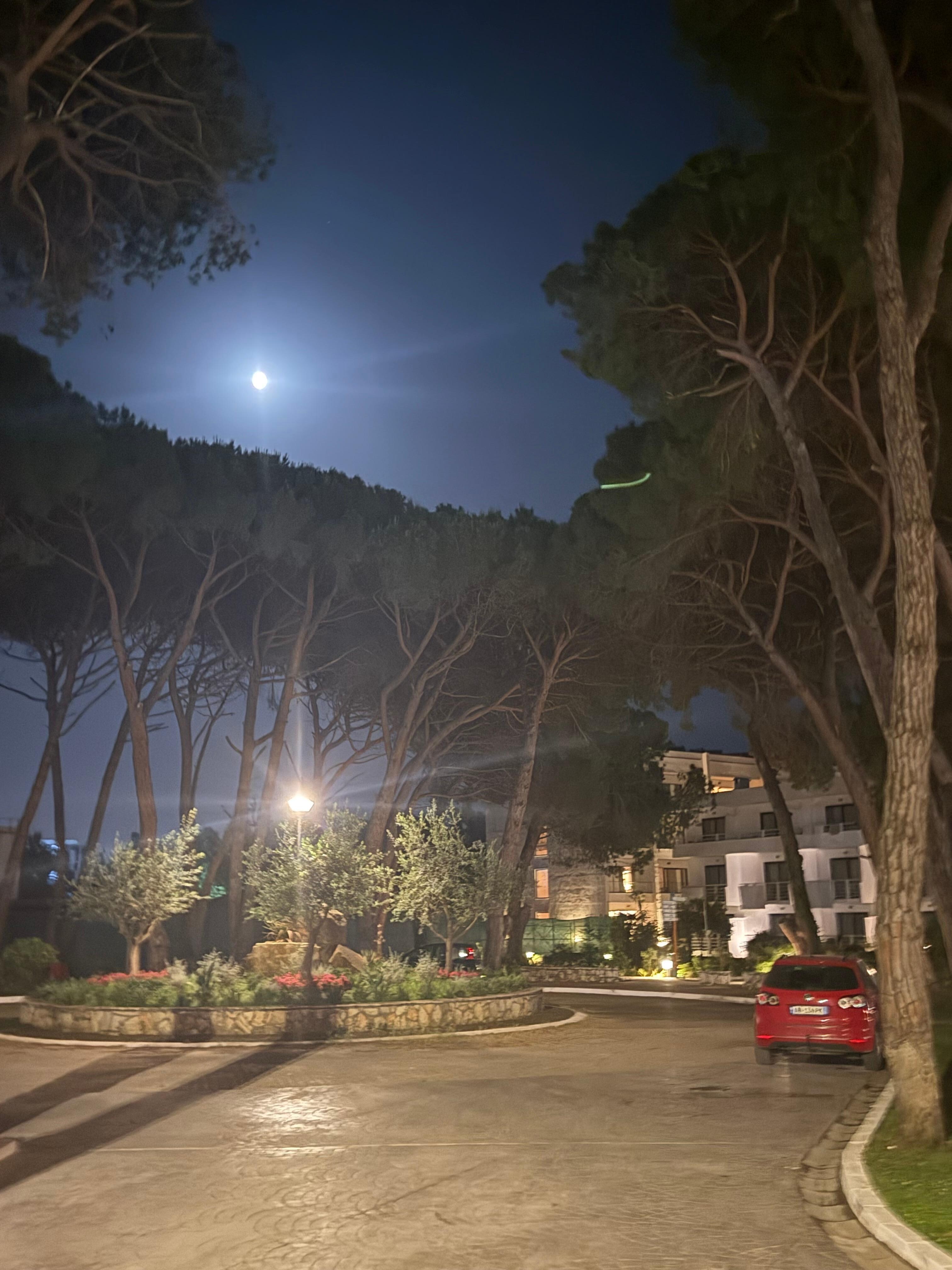 Hotel by Night 