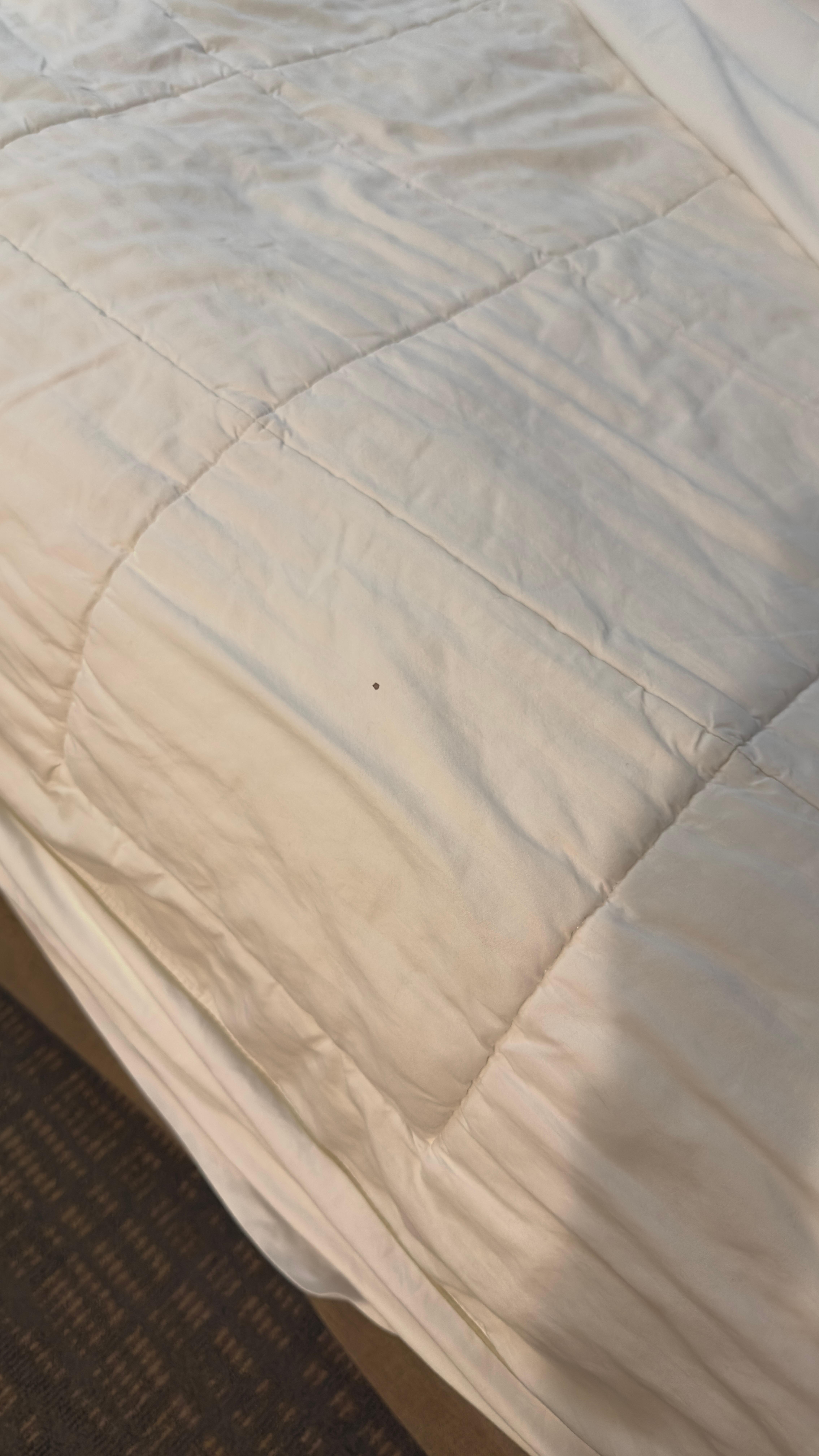 Blood stains on comforter 