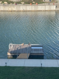 Ducks sunning on the dock