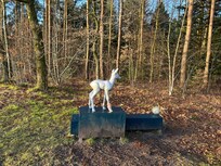 There is an art walk from the hotel into town.