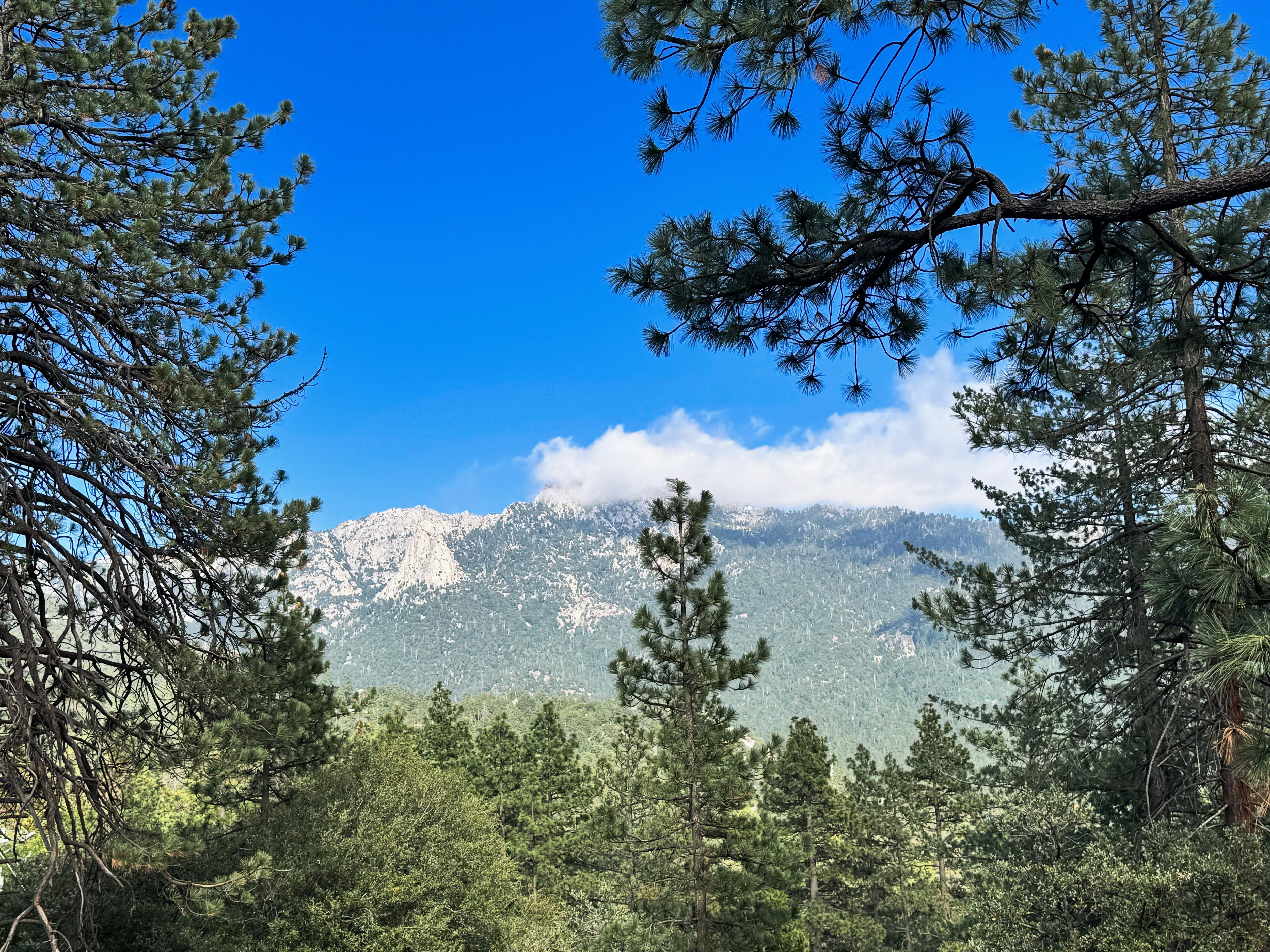 Mountain View from home