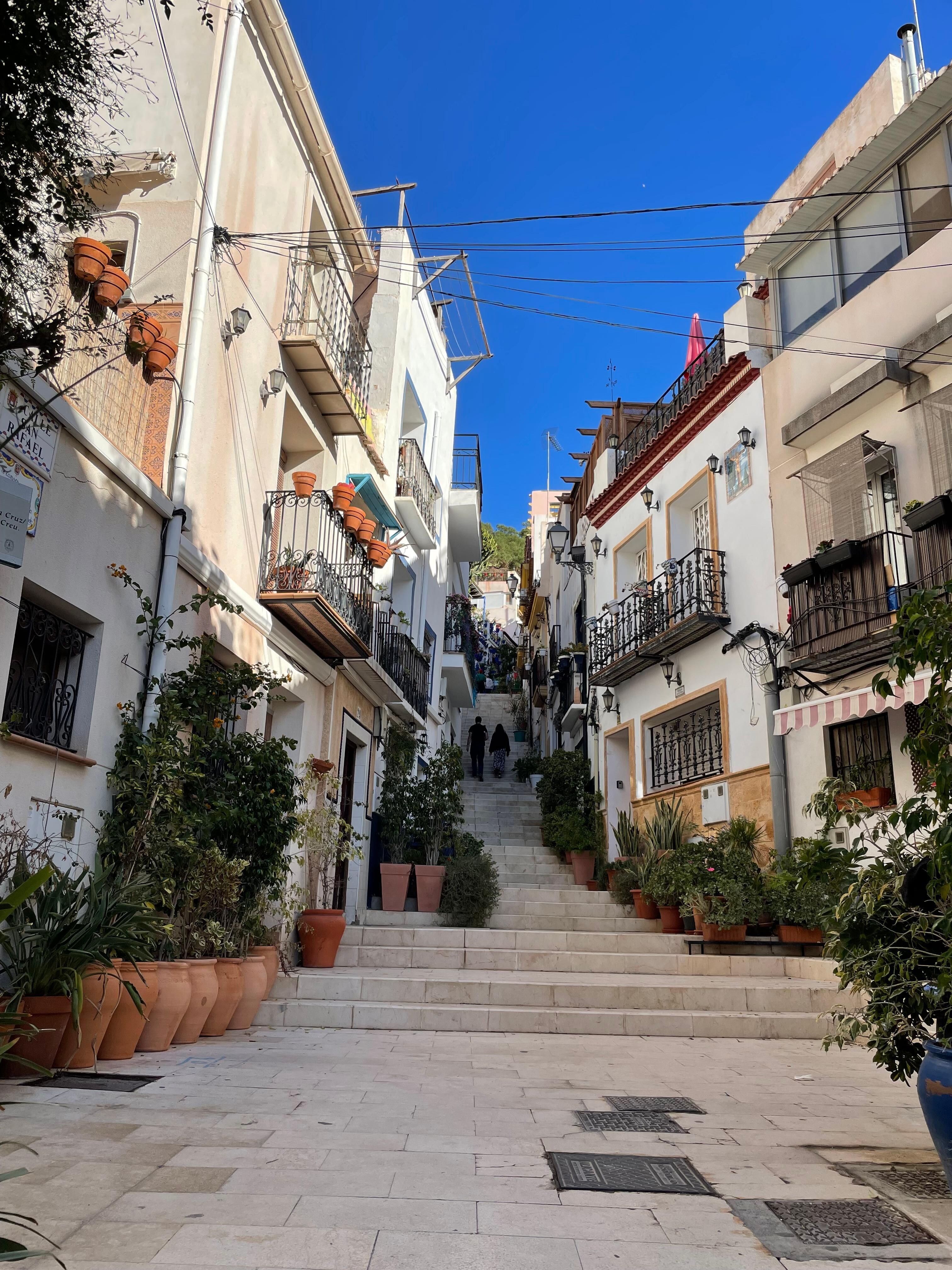 Towards the Blue Flowerpots