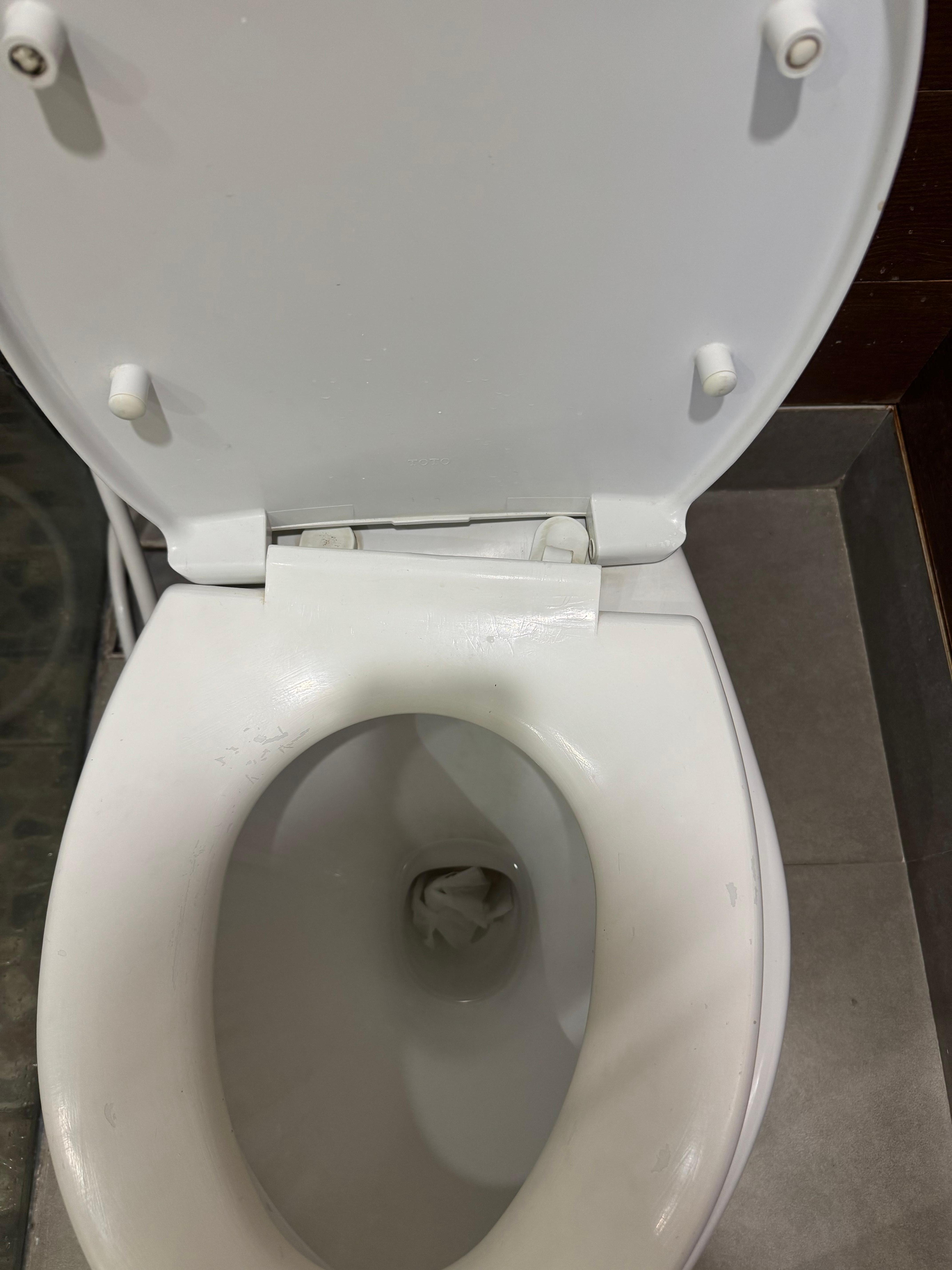 Toilet seat coming off it’s hinges