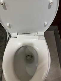 Toilet seat coming off it’s hinges