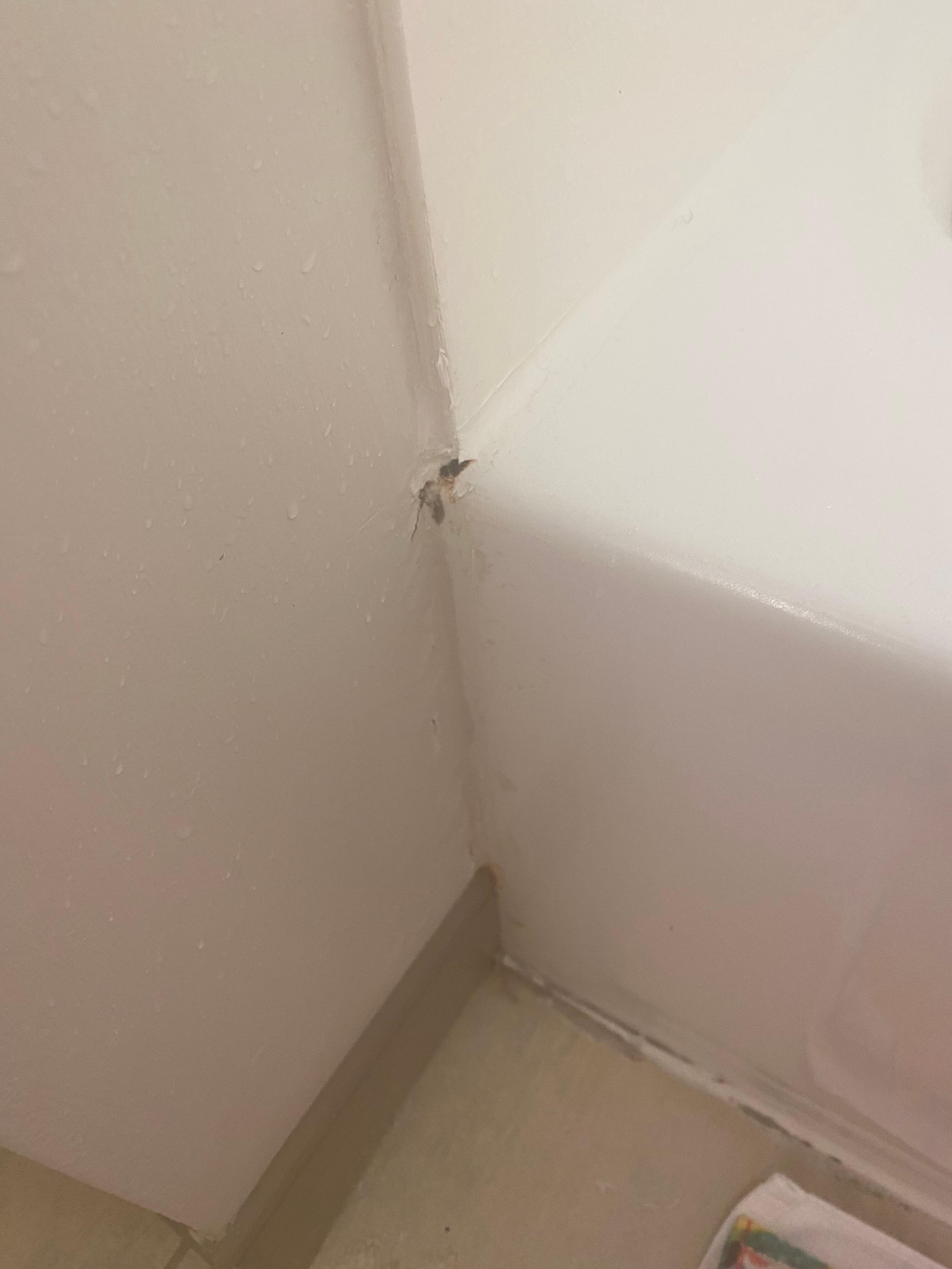 Tub had brown stains that I was able to clean