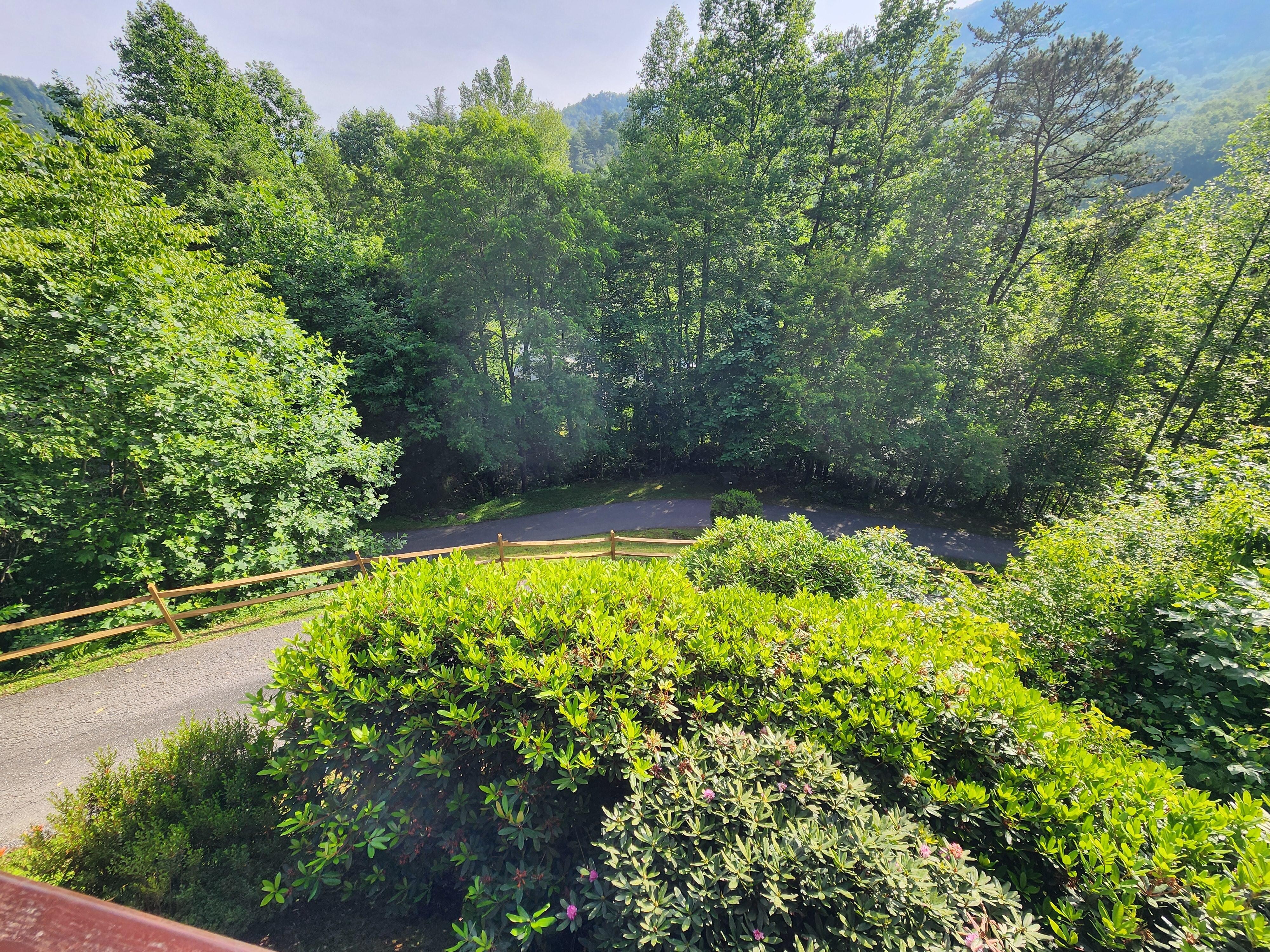 View from main floor deck