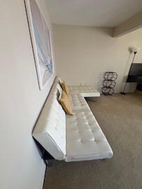 Couch thatâs ripped