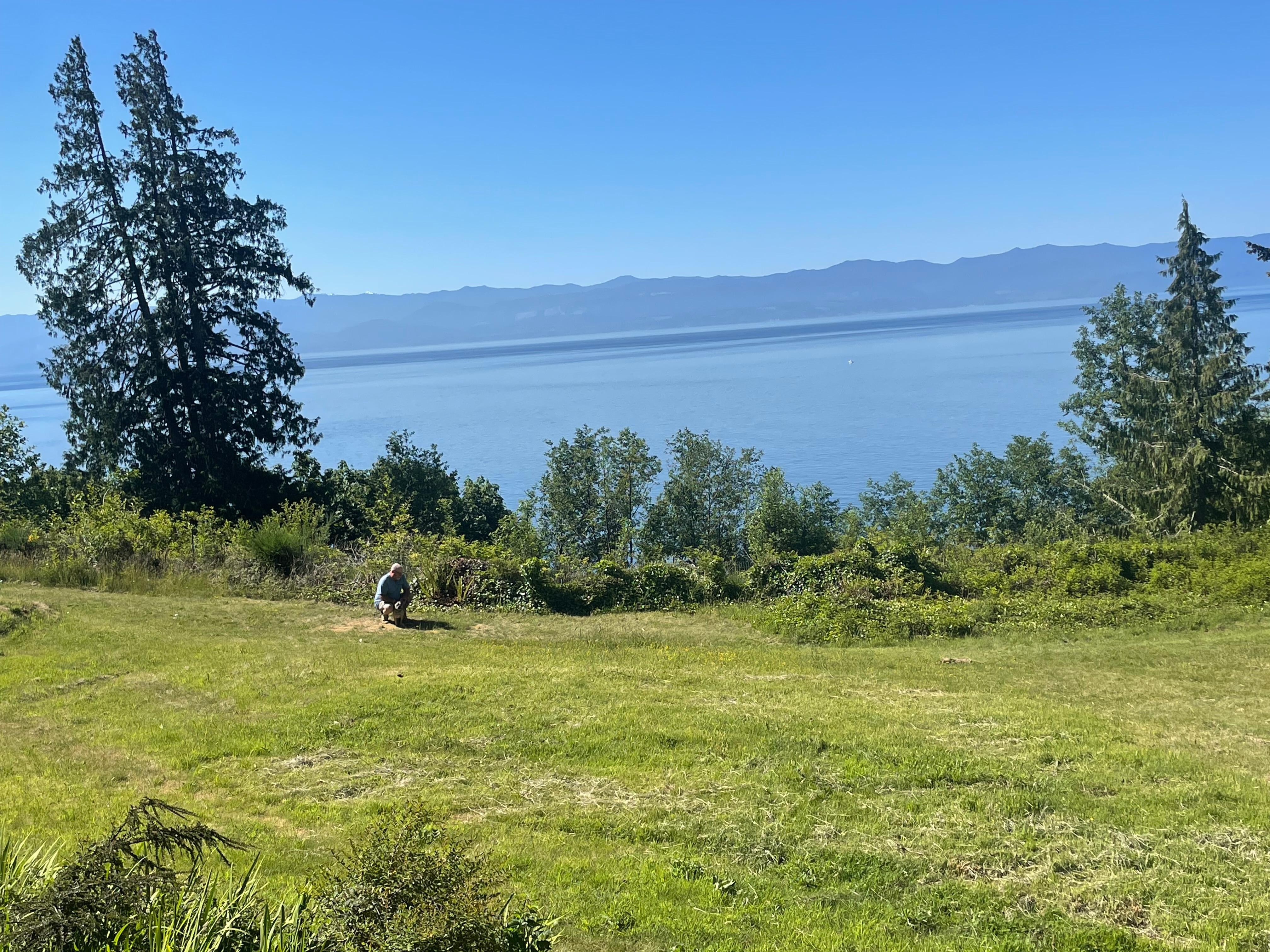 View from the deck