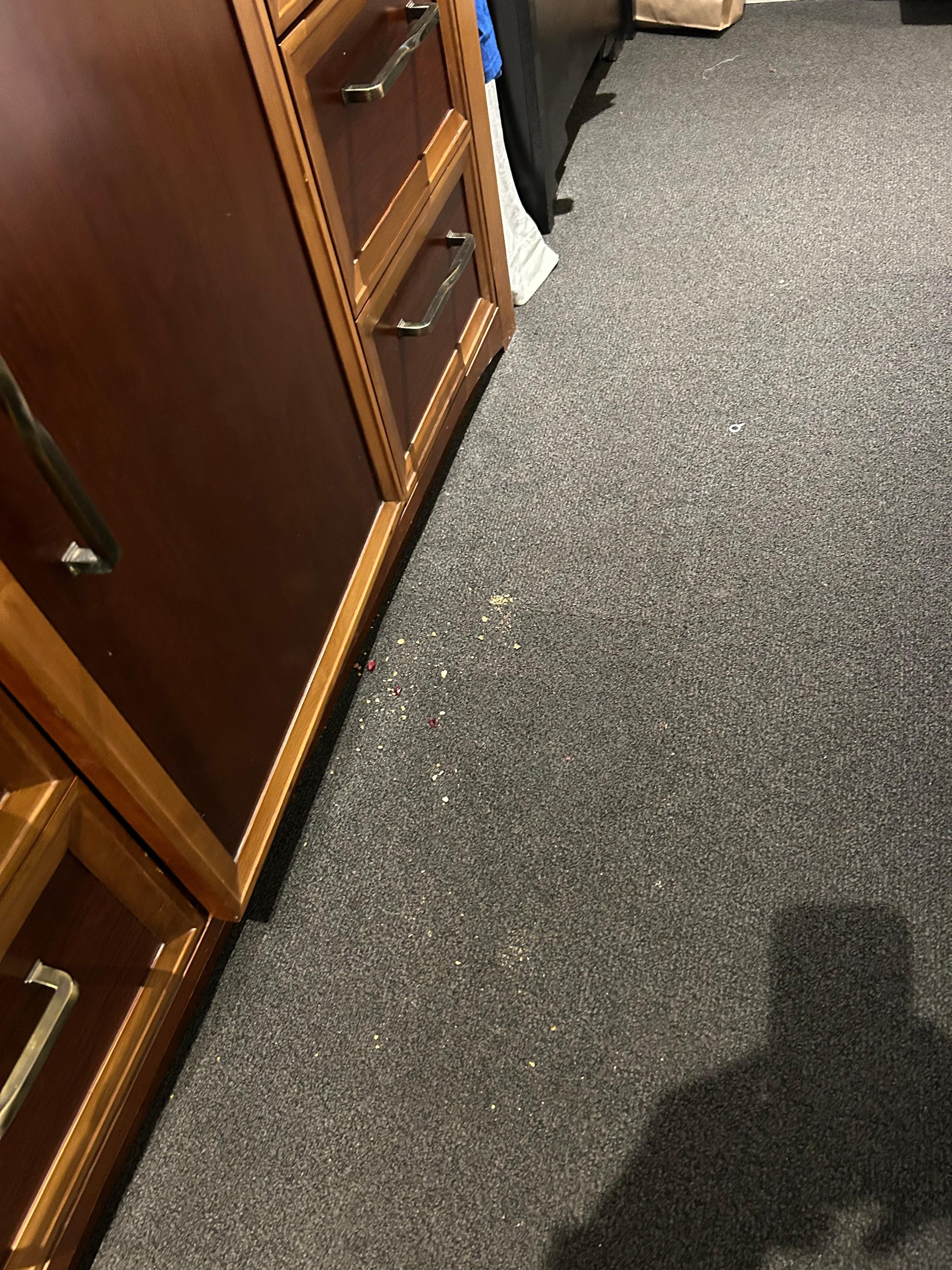 Requested only for room to be vacuumed  nothing elde