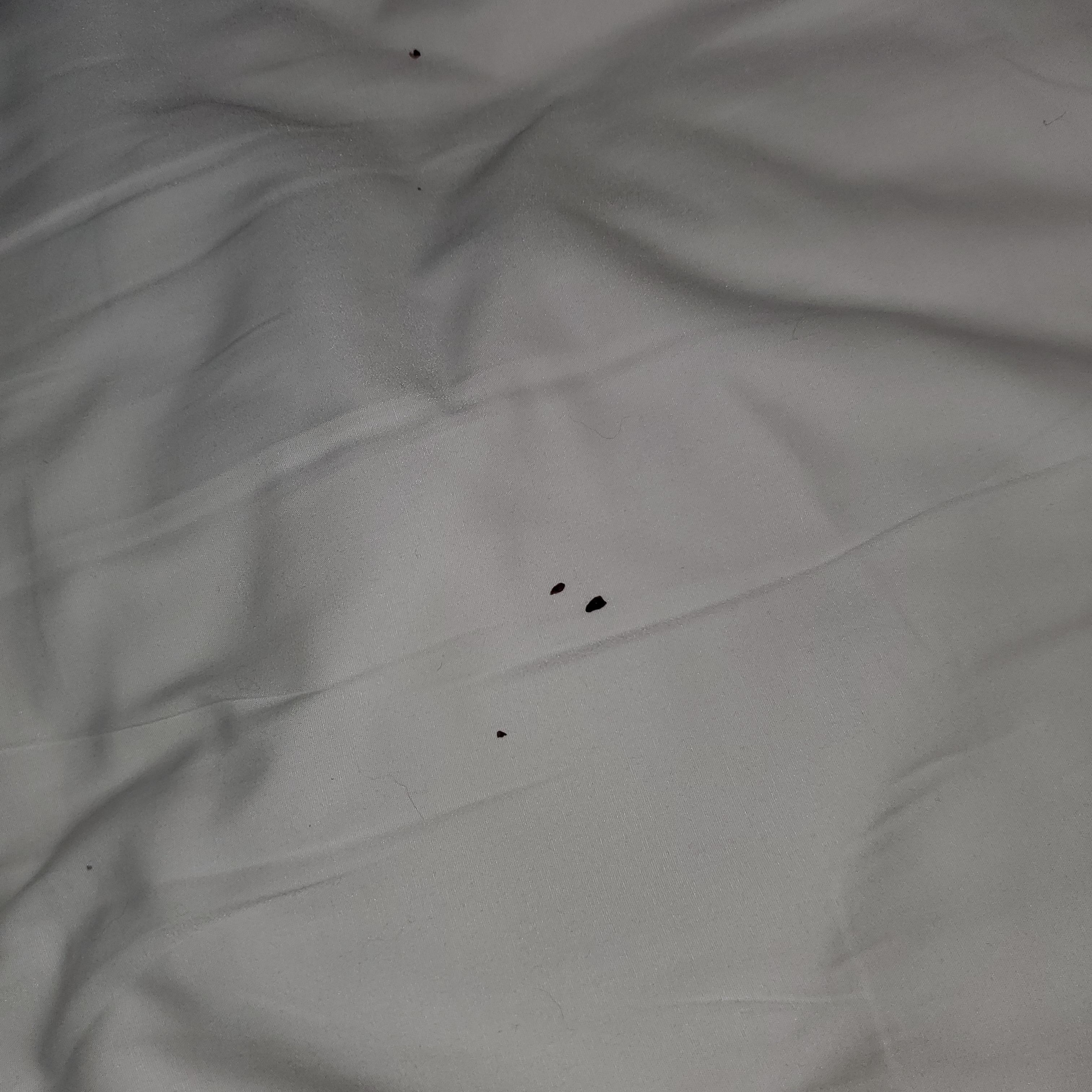 Crumbs in bed linens 