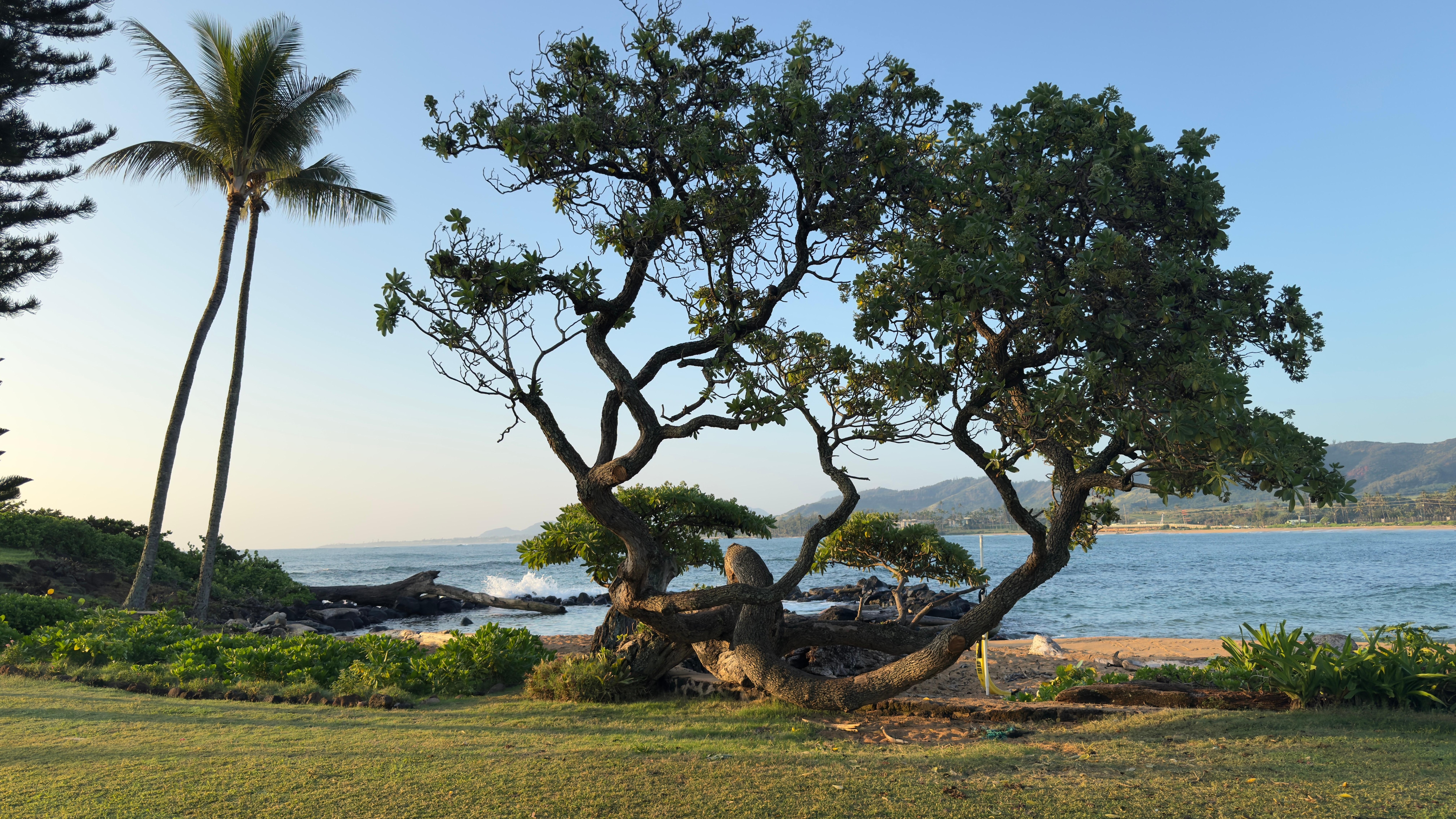 Beach directly behind the property