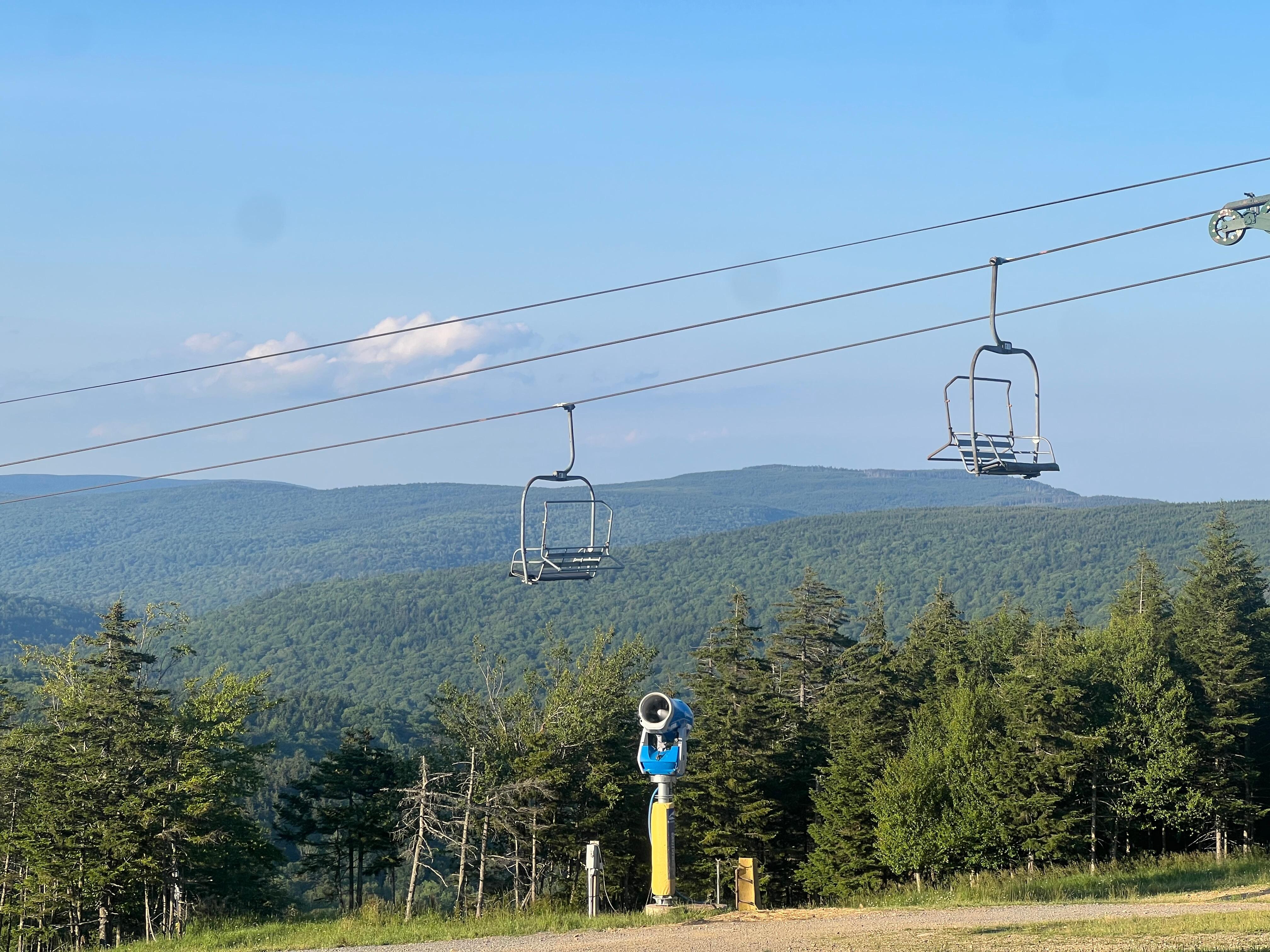 Snowshoe