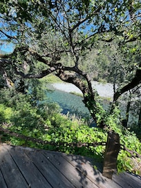 Our backyard view