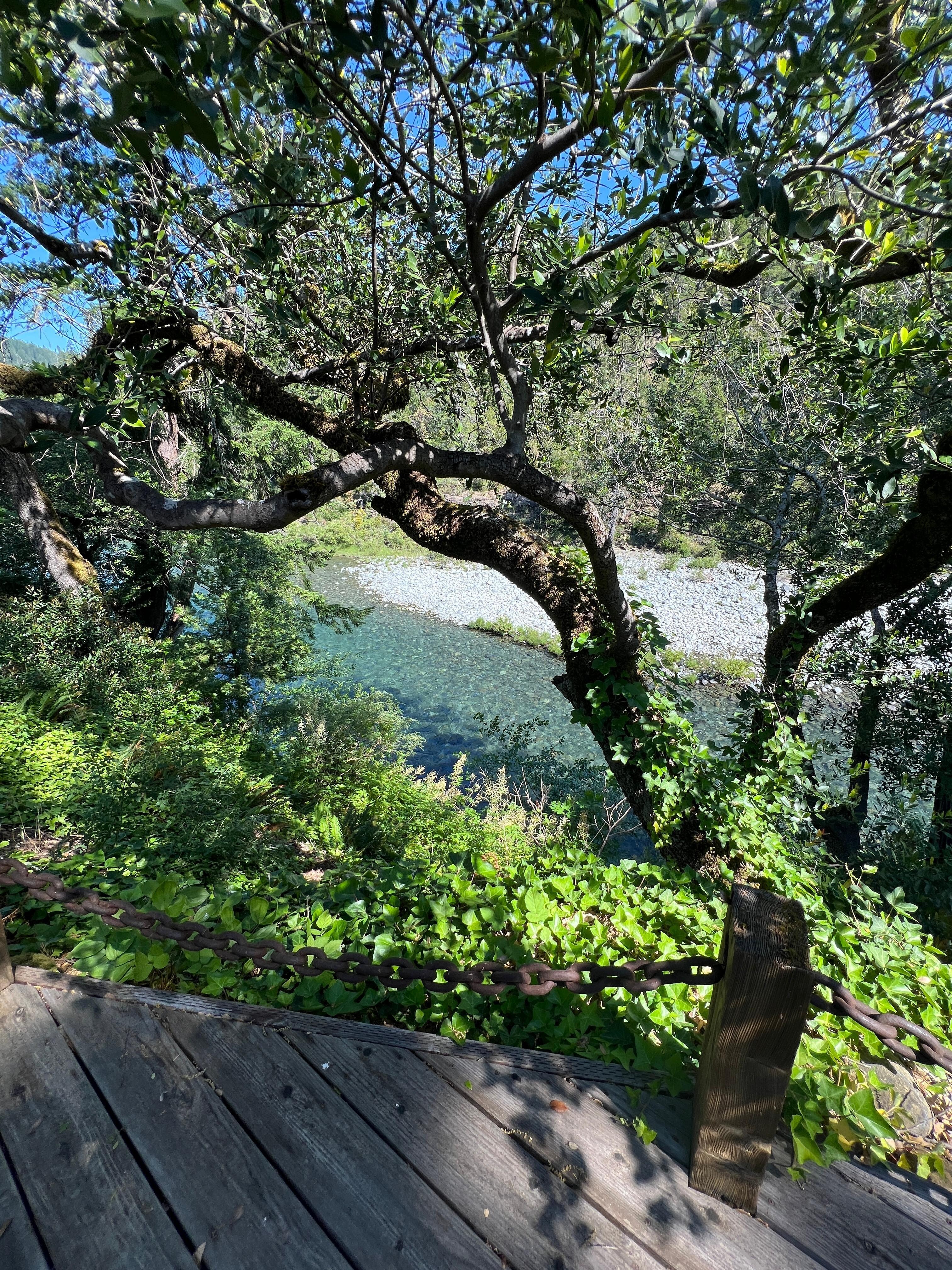 Our backyard view