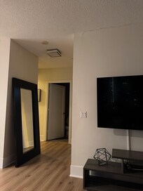 Picture of Unsecured Mirror and Burnt out Light