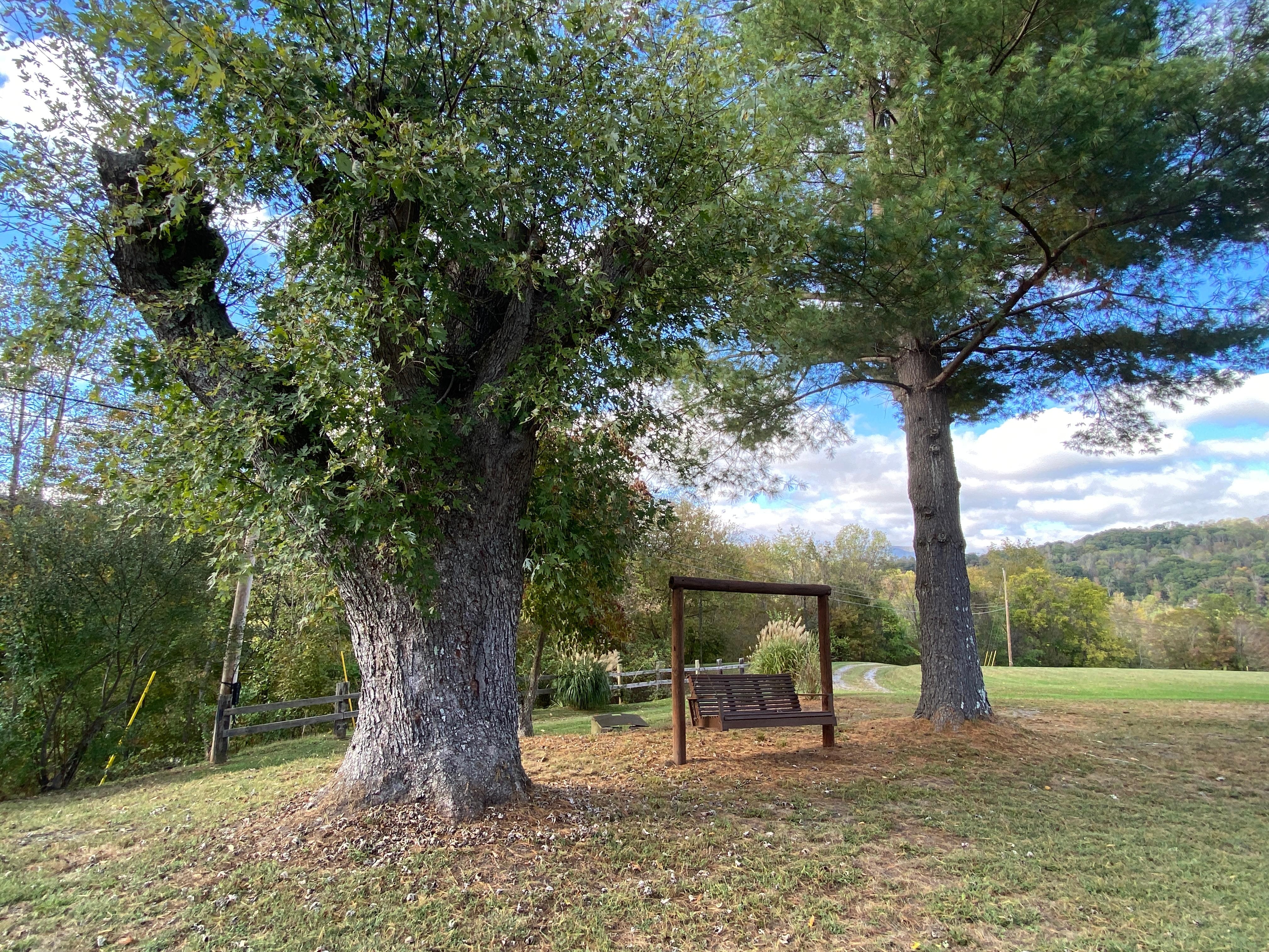 Enjoy the evening out on the swing!