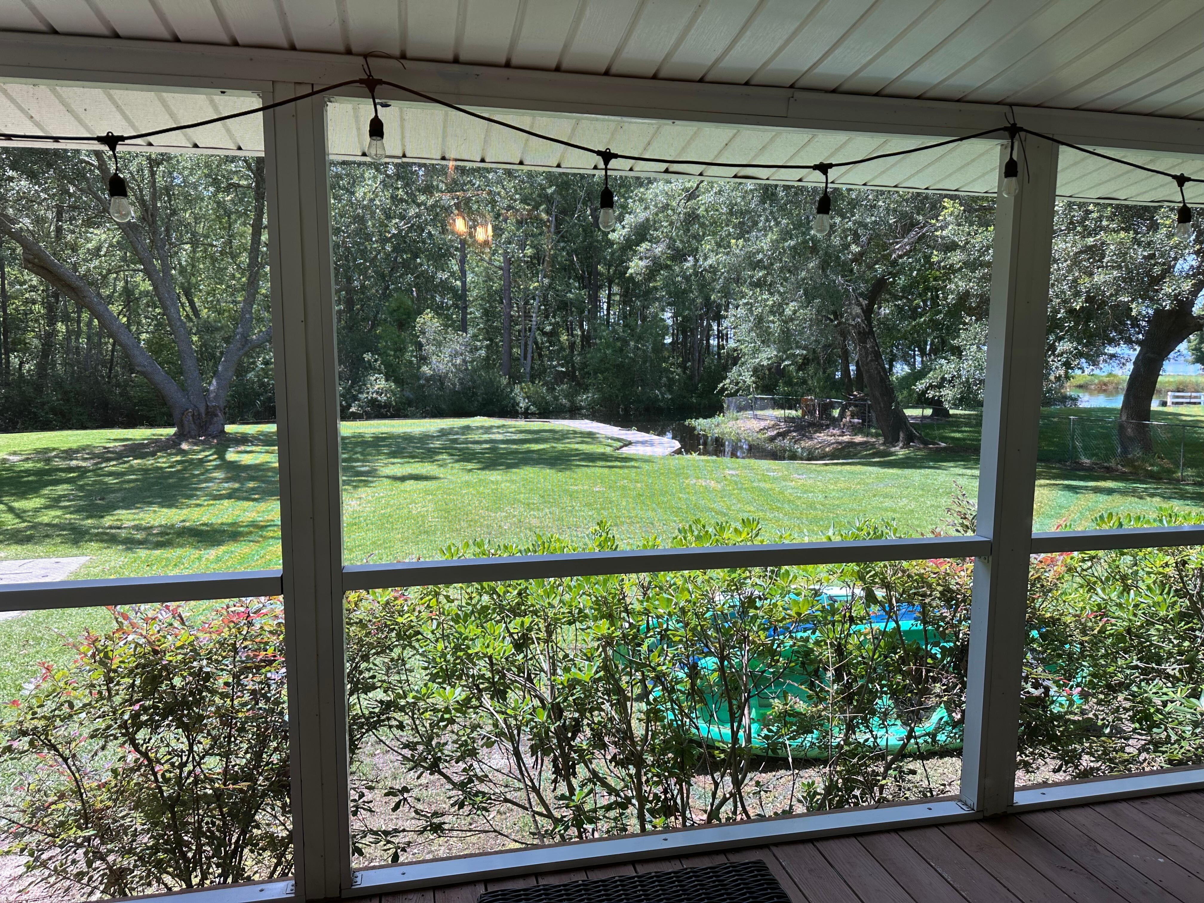 Looking out the kitchen window