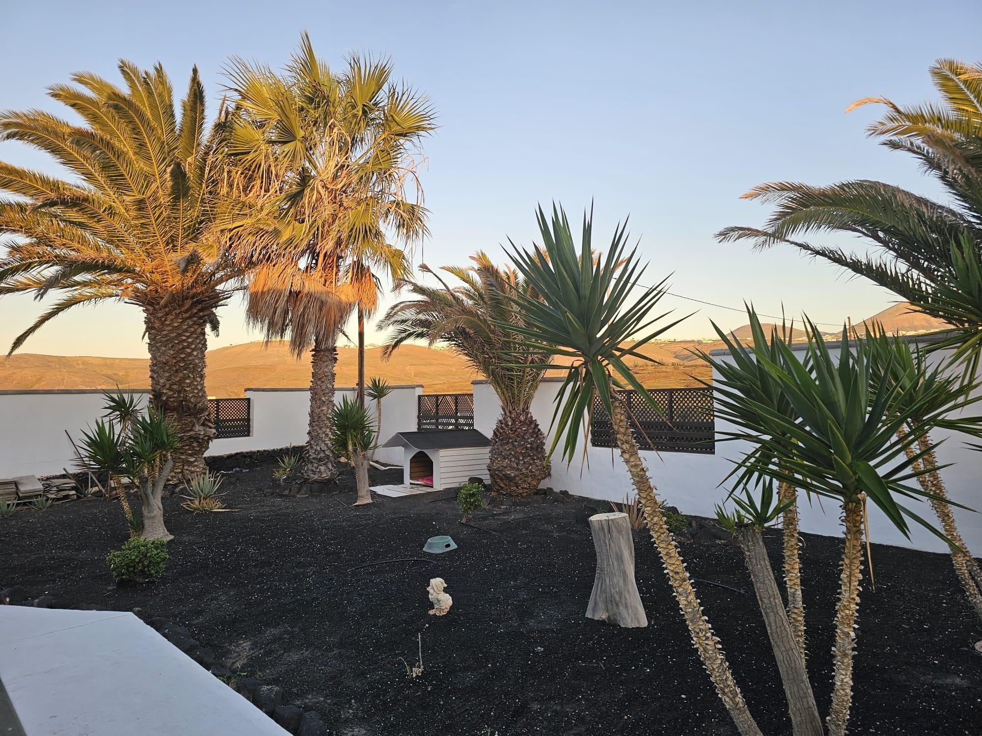 Blick nach Norden über den Garten