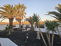 Blick nach Norden über den Garten