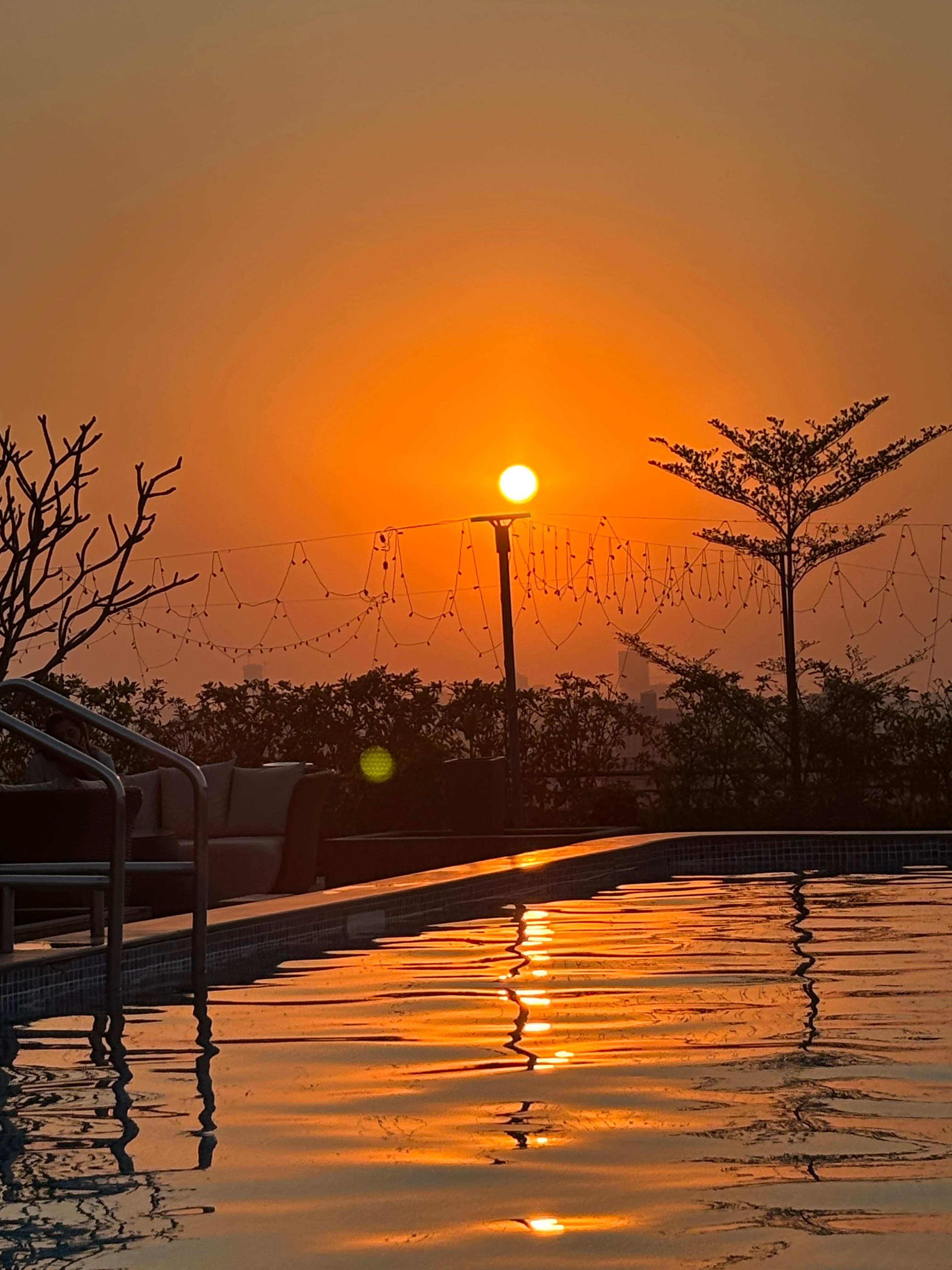 Rooftop pool at sunset. 